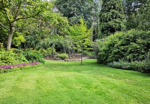 Optimiser l'expérience du jardin à Journiac