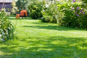 travaux jardin et paysage Journiac